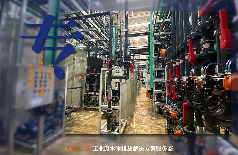 lehu乐虎国际环保入选2022年省级专精特新企业